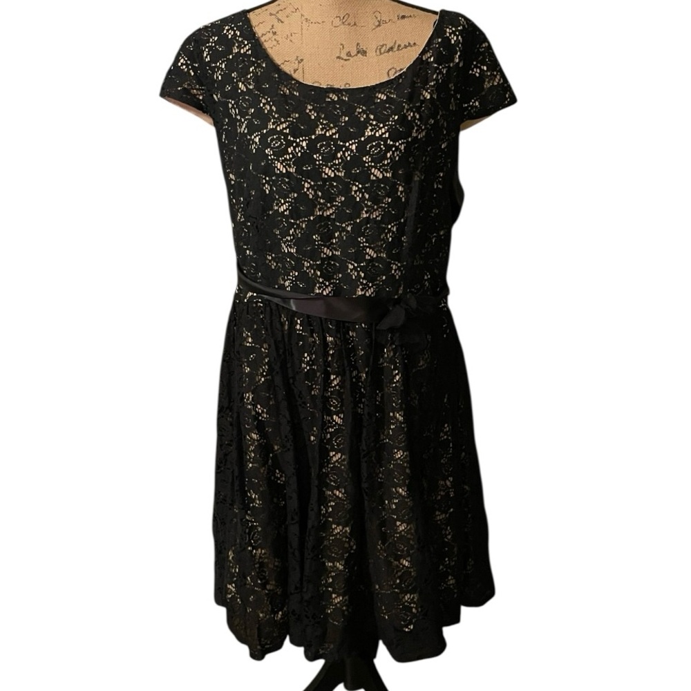Pompous‎ Girly Black Lace Asymmetrical Dress